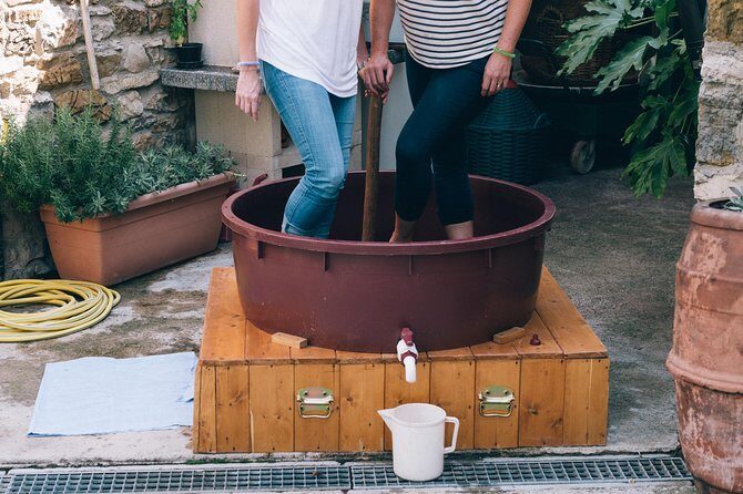 Private Grape stomping at Chianti Farmhouse - Timing, Getting There, and Staying Comfortable for 4 Hours