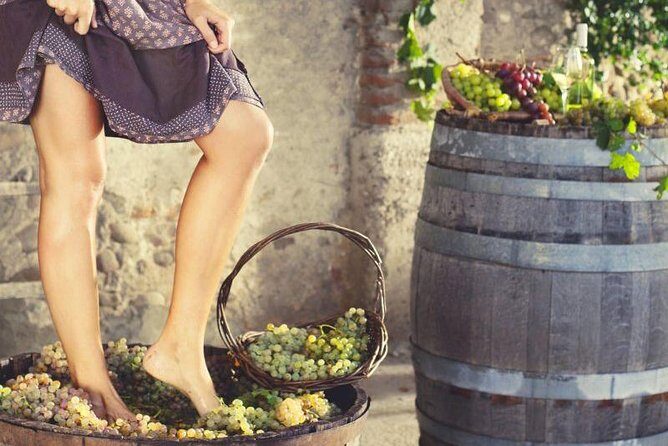 Private Grape stomping at Chianti Farmhouse - The Homemade Lunch: Pasta, Bruschetta, Cold Cuts, and Biscotti