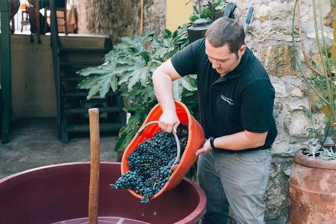 Private Grape stomping in Chianti from Florence - Price and value: is $473.22 per person fair?