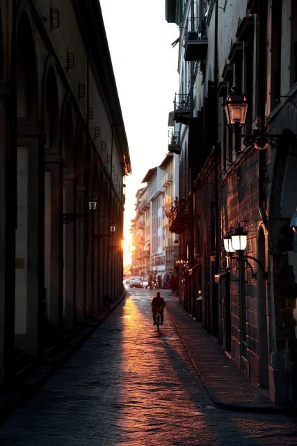 Private Guide at disposal in Florence - Languages and accessibility: private guide support that actually helps