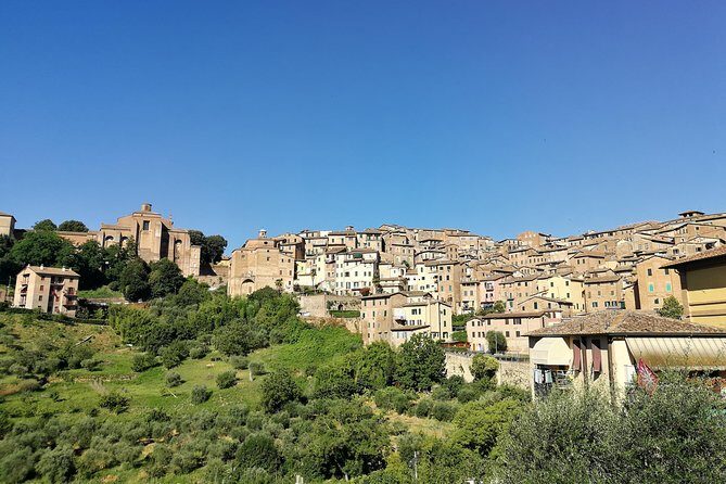 Private Guided Tour of Siena with a Licensed Local Tour Guide - Key highlights worth getting excited about