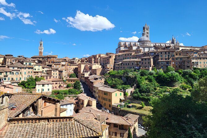 Private Guided Tour of Siena with a Licensed Local Tour Guide - Il Campo finish: the Palio stage and the social heart