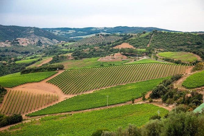 Private guided tour: Siena San Gimignano and Chianti - A 10-hour loop from Florence: Siena, San Gimignano, and Chianti