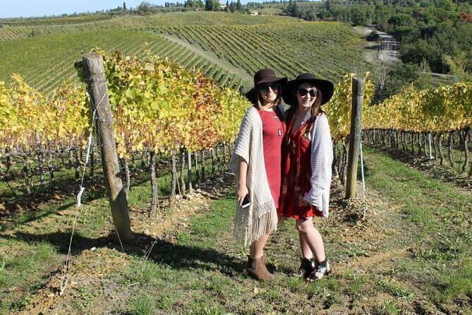 PRIVATE Half-Day Tour: Chianti Classico Wine Experience. - Entering the Chianti Classico hills from Florence