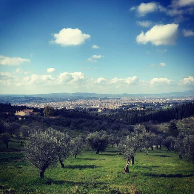 Private Hiking Florence Tour with Wine and Lunch or semi-pri - A Half-Day Hike That Mixes Views, Quarry Walking, and Farm Time