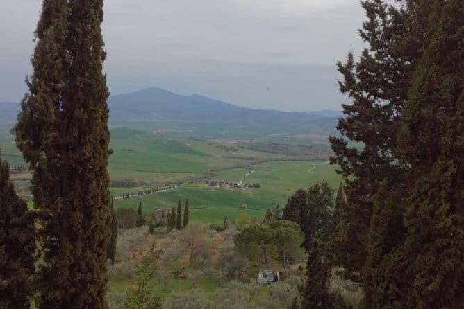 Private Montepulciano & Pienza Day Trip from Florence - Winery stop near Montepulciano: Vino Nobile tasting, reserved in advance