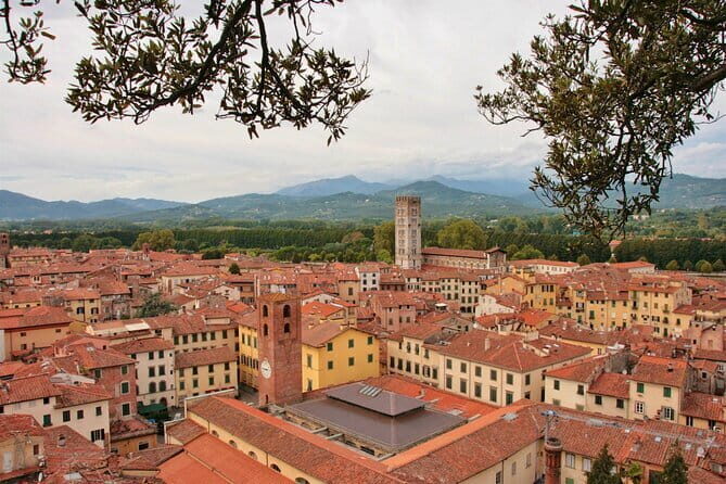 Private Pisa and Lucca Tour from Florence with Transportation - Florence Pickup and Your A/C Mercedes Ride