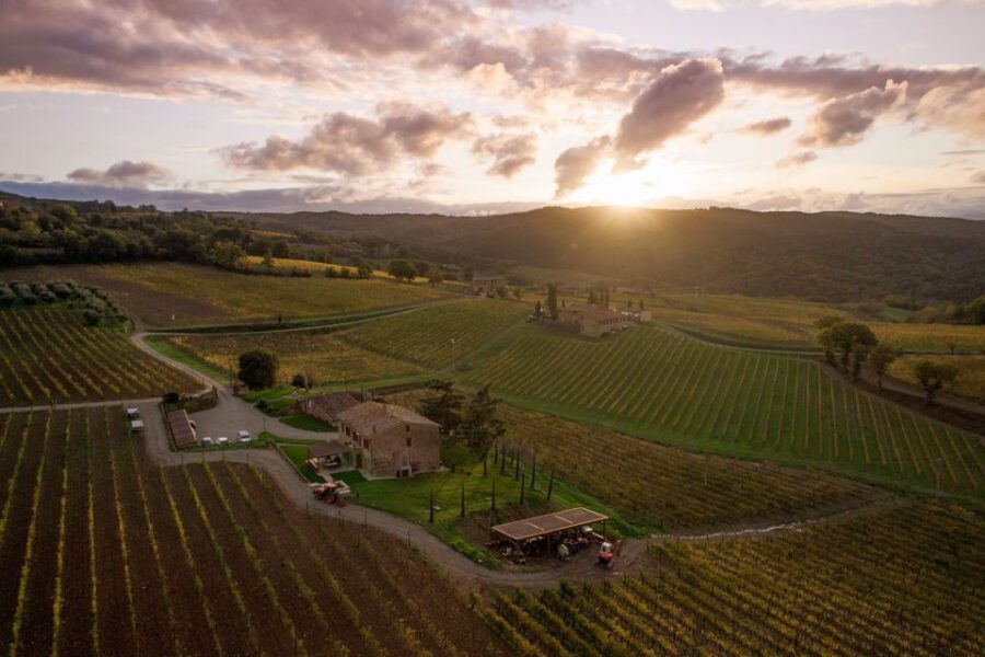 Private Plus Wine Tasting Tour - Why This Private Plus Tour Works So Well