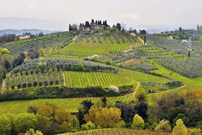 Private Shore Excursion from Livorno Port: Tuscany Highlights - Livorno to Tuscany, without the “tour-bus scramble”