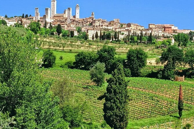 Private Siena, S. Gimignano, Chianti Road and Wine Tasting - Why this private Tuscany day feels better than “hop on, hop off”