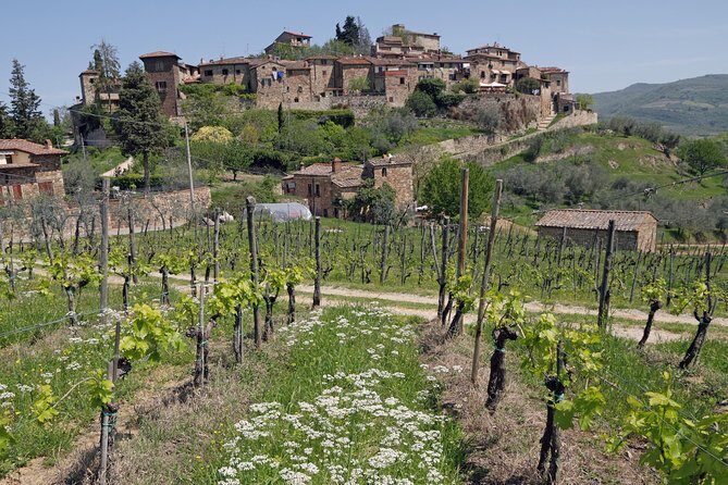 Private Siena to Florence Chianti and San Gimignano Transfer Tour - A short walk in a cobbled hamlet before Florence
