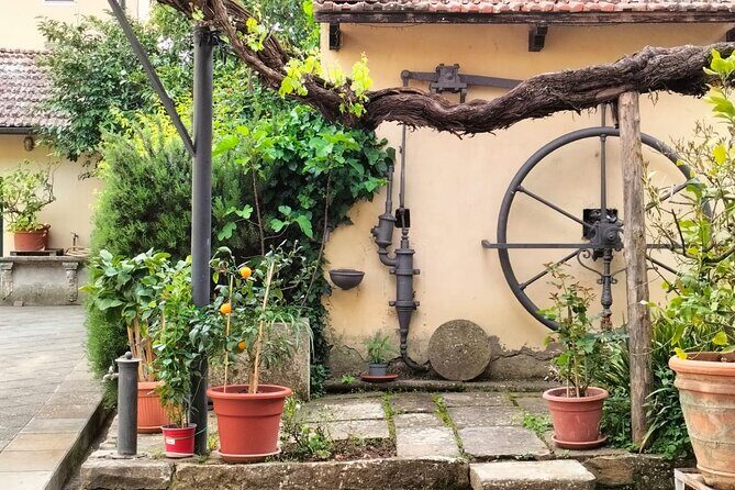 Private tasting of organic wines in the cellar in Arezzo - San Leo’s Cellar: Why This Tasting Feels Like Tuscany, Not a Script