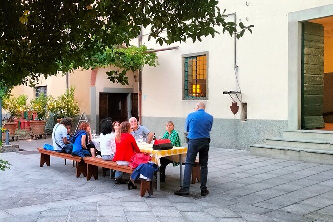 Private tasting of organic wines in the cellar in Arezzo - Price and Value: Why $38.45 Can Make Sense Here
