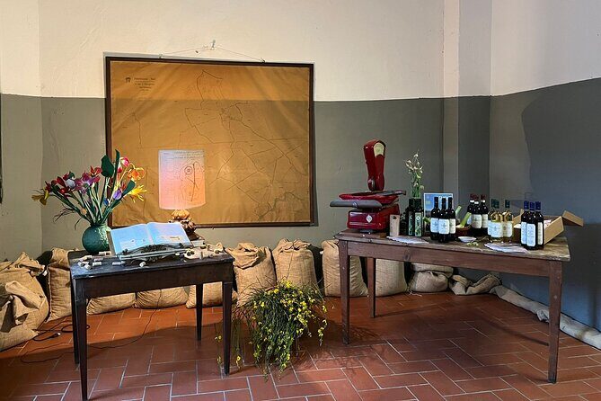 Private tasting of organic wines in the cellar in Arezzo - Organic Wines and the Circular Economy Twist: What You’ll Actually Taste