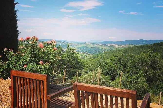 Private Top Brunello Montalcino Wine Tour & Food Pairing Session - The Real Value: Three Estate Tastings (Not One Big Stop)