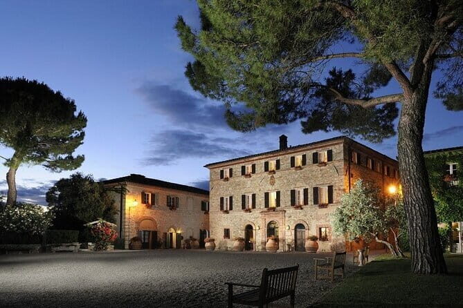 Private Tour and Wine Tasting at Castle-Wineries in Chianti from Florence - Getting ready: timing, comfort, and your wine game plan
