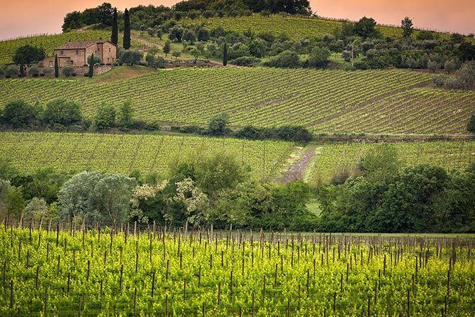 Private tour Brunello di Montalcino and Nobile di Montepulciano wine experience in Tuscany - Montalcino stop: Brunello tasting with a lunch built for pairing