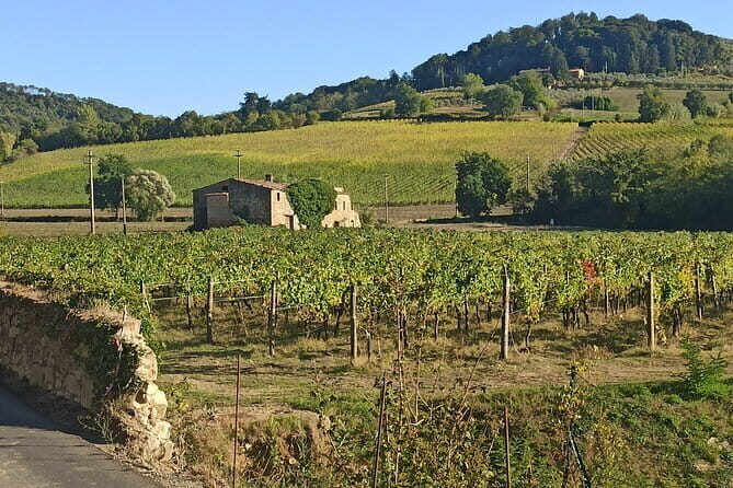 PRIVATE TOUR: Chianti Afternoon tour with visit to 2 wine farms - Key highlights that make this Chianti tour work