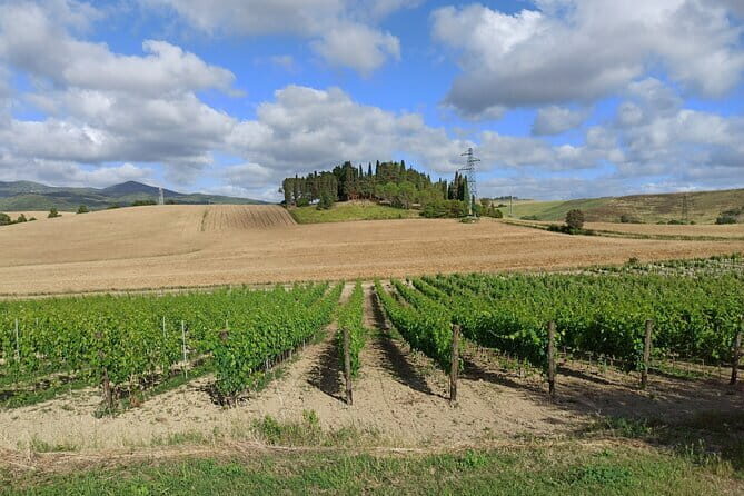 PRIVATE TOUR: Chianti Afternoon tour with visit to 2 wine farms - Winery stop one in Chianti Classico: what you taste and what you learn