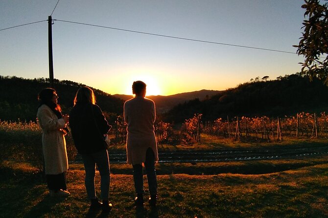 Private Tour- Chianti By Minivan At Sunset - The optional Tuscan dinner: what to expect and why it works here
