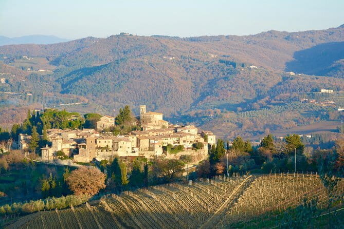 Private Tour: Chianti Region Tour by Minivan - What you get (and what you control)