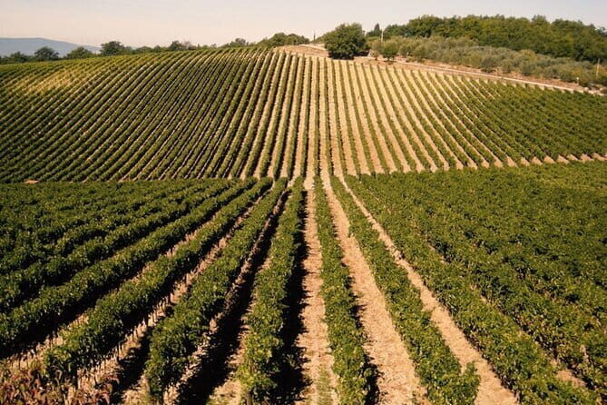 Private Tour: Chianti Winery, Montefioralle, and Greve in Chianti - Montefioralle: castle views and a quick, scenic wander