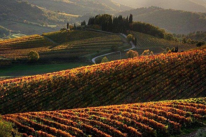 Private Tour: Guided Hike in Tuscany with Transport from Siena - 9:30 Pickup, a Small Minivan, and Getting Out of Siena Fast