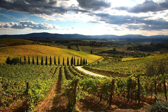 Private Tour: Guided Hike in Tuscany with Transport from Siena - Mid-Hike Farm Lunch with Wine: Saved Time, Better Food
