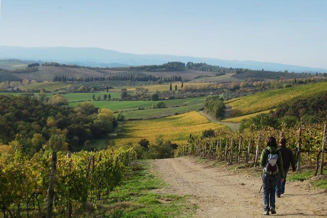 Private Tour: Guided Hike in Tuscany with Transport from Siena - Siena’s Main Piazza and San Gimignano’s Towers
