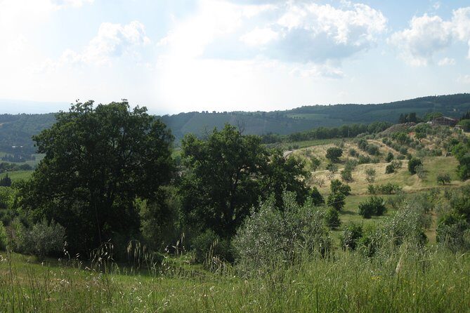 Private Tour: Guided Hike in Tuscany with Transport from Siena - Via Francigena: A Medieval Pilgrimage Route on Foot
