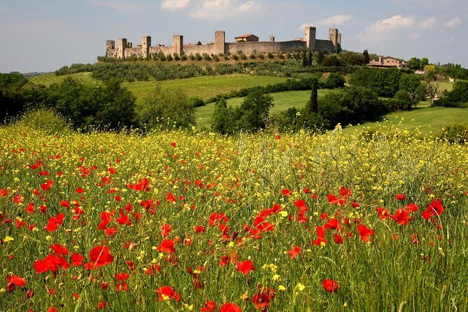 Private Tour: Guided Hike in Tuscany with Transport from Siena - Rain, Timing, and Keeping the Day Pleasant