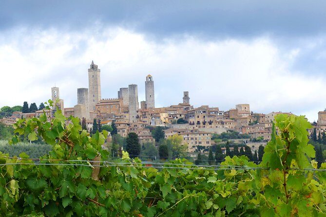 Private Tour: Guided Hike in Tuscany with Transport from Siena - Chianti Walking Level: What to Wear and How to Pace Yourself