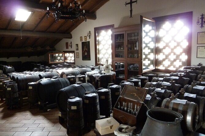 Private Tour in Historical Vinegar and Ferrari Museum - Who This Tour Fits Best