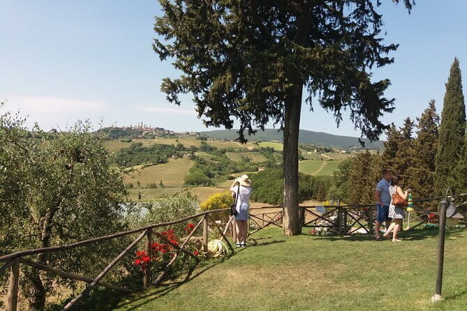 Private Tour in San Gimignano and Chianti Day Trip from Florence - San Gimignano: medieval towers and your free-wander window