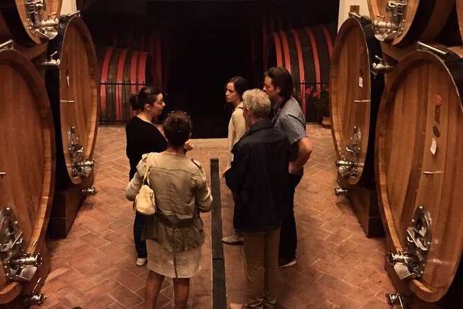 Private Tour: Montalcino Wine Tasting Experience - How the 8-hour flow stays relaxed (and not rushed)