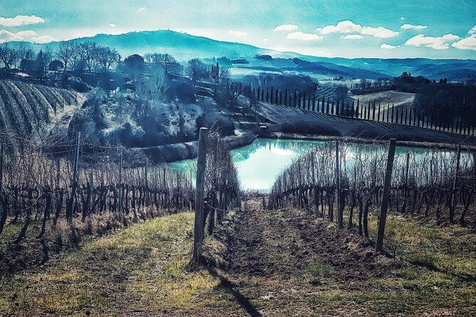 Private Tour: Montalcino Wine Tasting Experience - Brunello winery tastings: guided, flexible, and built around what you like
