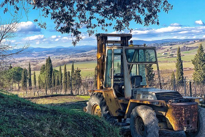 Private Tour: Montalcino Wine Tasting Experience - The host, the language, and why private feels worth it