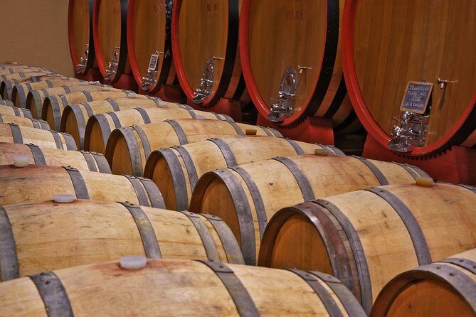 Private Tour: Pienza and Montalcino Organic Cheese and Wine Tour - Stop 1 in Pienza: the organic cheese and olive oil experience