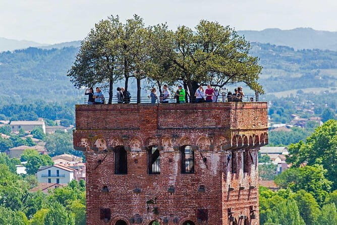 Private Tour: Pisa and Lucca from Florence - Key things to know before you go