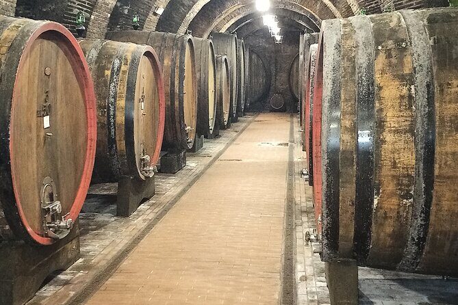 PRIVATE TOUR: Savor Exquisite Wines: Brunello & Nobile Wine Tour - Pickup From Your Place in Siena: The Comfort Factor