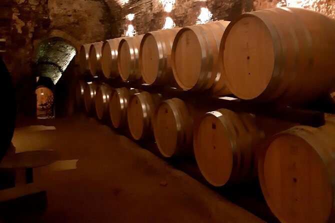 PRIVATE TOUR: Savor Exquisite Wines: Brunello & Nobile Wine Tour - The Tuscan Wine Road Drive: Cypress, Rolling Hills, and Movie-Spot Scenery