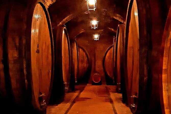 PRIVATE TOUR: Savor Exquisite Wines: Brunello & Nobile Wine Tour - Montalcino Winery Time: Brunello Rules, Cellars, and a Serious Flight