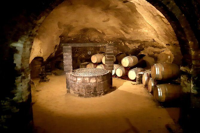 PRIVATE TOUR: Savor Exquisite Wines: Brunello & Nobile Wine Tour - Value for Money: Why $302.32 Can Be a Bargain on the Right Day