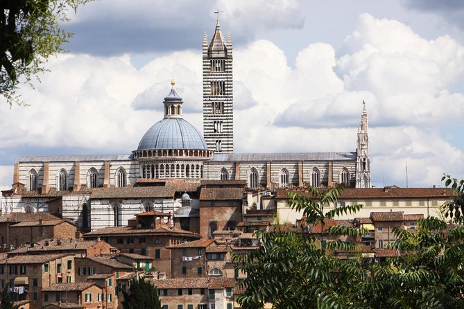 Private Tour: Siena Walking Tour - Key Highlights at a Glance
