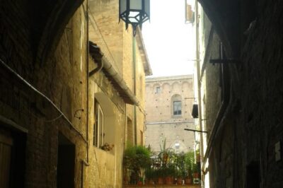 Private Tour: Siena Walking Tour - Getting Started in Siena: Meeting Point, Timing, and Street Comfort