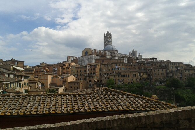 Private Tour: Siena Walking Tour - Piazza del Campo: Where the Palio Story Becomes Real
