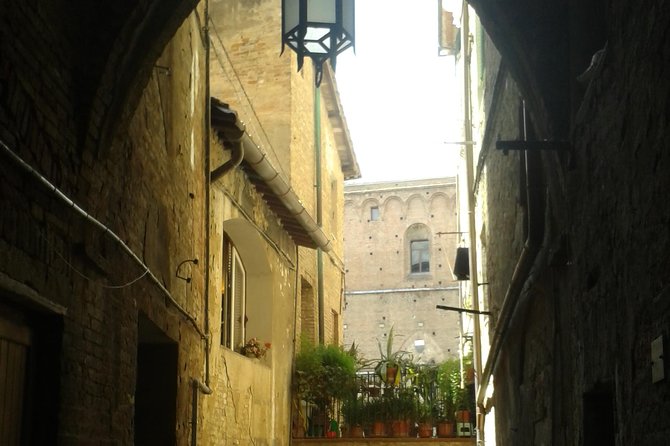 Private Tour: Siena Walking Tour - Getting Started in Siena: Meeting Point, Timing, and Street Comfort