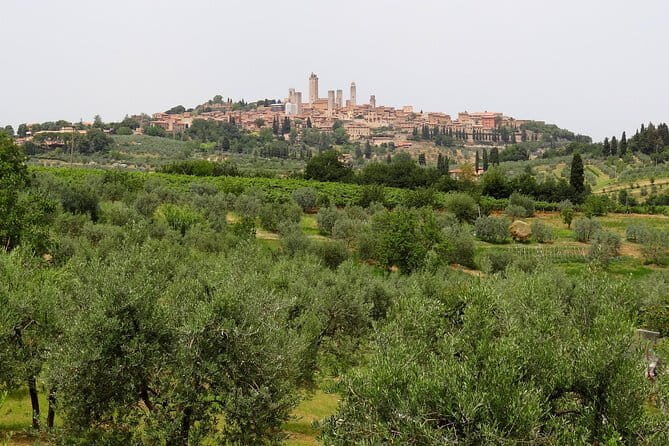 Private Tour to Siena and San Gimignano with Wine Tasting & Lunch - Key highlights worth knowing