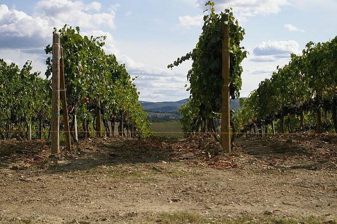 Private Tour to Siena and San Gimignano with Wine Tasting & Lunch - Why Siena and San Gimignano works as a private day trip