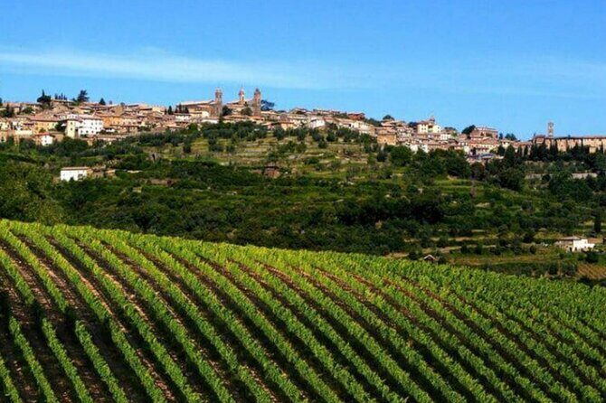 Private tour Wine and cheese a perfect combinations val 'Orcia - Key highlights you’ll feel in the moment